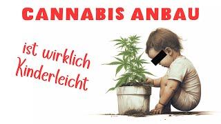 Cannabis Anbau ist KEIN Hexenwerk - Mein erster Grow (mit Bildern)