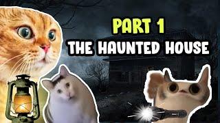 CAT MEMES: THE HAUNTED HOUSE