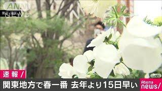 関東地方でも春一番　去年より15日早い(20/02/22)