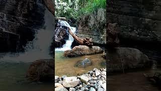 Natural  water fool,At Sri Lanka 