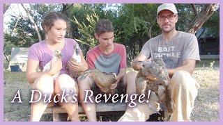 DUCKS! The Most Gross Moments!