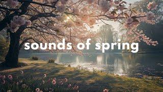 Spring Garden Ambience  | 3h Relaxing Nature Sounds & Birdsong | Cottage Core Ambience
