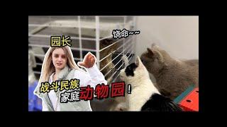 Realistic cat and mouse? Little Dasha turns her new home into a zoo?