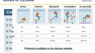 ELISA principles and troubleshooting