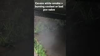 Understanding what the smoke from your engine means