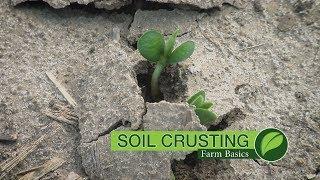 Farm Basics #1001 Soil Crusting (Air Date 6-11-17)