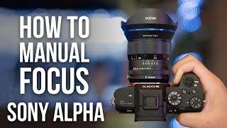 How to Manual Focus on Sony a6000 a6100 a6400 a6500 a6600 a7R IV a7III a9 II a7S II