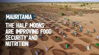 Half-moons greening Mauritania