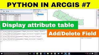 [PYTHON IN ARC GIS #7] Display Attribute Table | Add and Delete New Field in Attribute Table