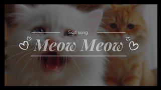 Meow Meow Meow Meow  Sad TikTok Song 