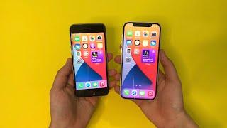 iPhone 6s vs iPhone 12 - Speed Test!