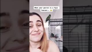 When you have sex in front of a parrot