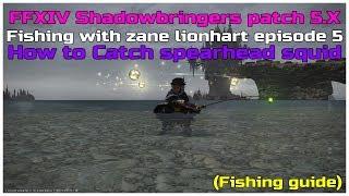 FFXIV Shadowbringers patch 5.X fishing with zane lionhart episode 5 catching spearhead squid