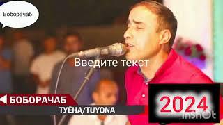 Боборачаб туёна! 2024-2025с