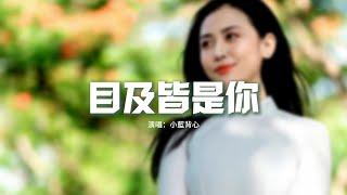 小藍背心 - 目及皆是你（心跳版）『你就像氧氣 沒你不能呼吸，我波瀾四起 心動好幾個世紀，手寫的結局 用幸福延續。』【動態歌詞MV】