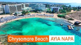 Chrysomare Beach Hotel Cyprus: What Do Guests Really Think?