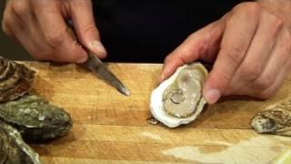 Oysters 101: Learn the Basics