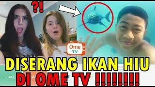 LAGI BERENANG DISERANG IKAN HIU OME  TV Internasional