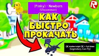 КАК БЫСТРО ПРОКАЧАТЬ ПЕТА В АДОПТ МИ ? ТОП 5 СПОСОБ  БЫСТРО ПРОКАЧАТЬ ПЕТА В АДОПТ МИ! ADOPT ME 