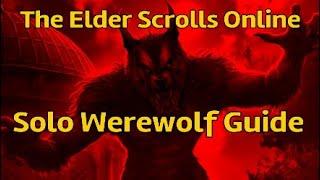 ESO - Quick Werewolf Solo Guide For PvP - Tips For Being A Werewolf in The Elder Scrolls Online