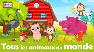 All the animals of the world - Learn french with your kid