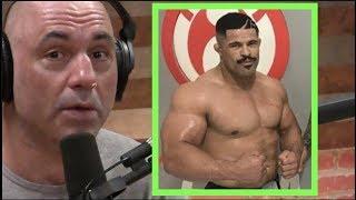 Joe Rogan | Rousimar Palhares is a Monster!!