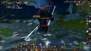 Hunter BM - PVP Battleground's World of Warcraft 3.3.5