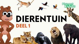 Dierentuin Dieren Leren In Het Nederlands | Voor Peuters En Kleuters | Learn Zoo Animals in Dutch