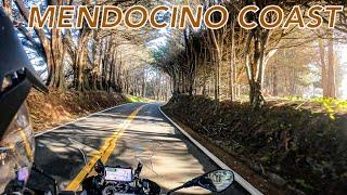 Mendocino California Pacific Coast Highway | MOTO Coast Run Pt. 6 | BMW GS Adventure Motorcycle Tour