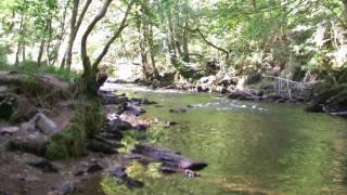 Tarr Steps, Exmoor National Park, Somerset, Summer Scenes - 17th September 2009