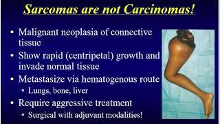 Miller's Orthopaedic Lectures: Pathology 1