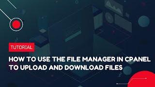 How to Use the File Manager in cPanel to Upload and Download Files | Hosting Tutorial