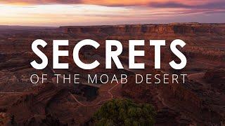 Secrets of the Moab Desert ~ Potholes, Tardigrades & Soil Crust