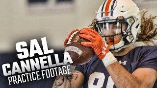 Auburn's Sal Cannella catches passes in fall camp