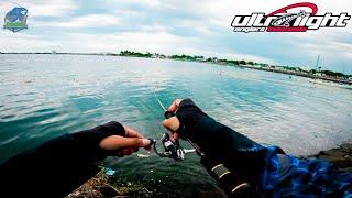 Ajing Game Fishing with Softlure KillerUltralight Fishing Indonesia • Shimano Sienna • Cangkek 1-3