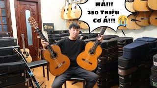 TRẢI NGHIỆM SHOP GUITAR NHẬT CŨ Ở HÀ NỘI (Nhạc cụ Linh Nhi)