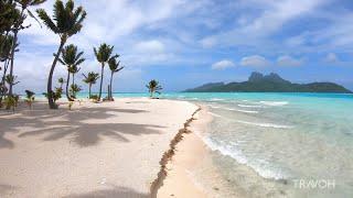 Tropical Island Walk | Ocean Beach Nature | Motu Tane | Bora Bora, French Polynesia  | 4K Travel