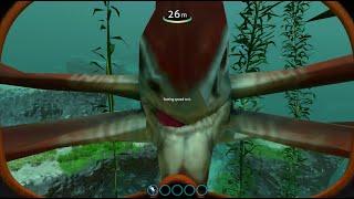 Subnautica on the Lowest Graphics