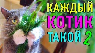 КАЖДЫЙ КОТИК ТАКОЙ 2 | ПАРОДИЯ Magic Pets