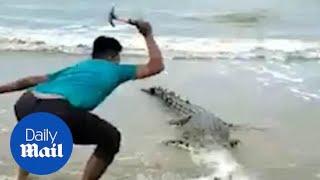 Horrifying moment crocodile is beaten to death with hammer