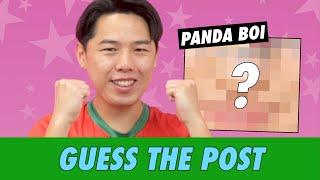 Panda Boi - Guess The Post