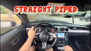 Straight Piped Mustang GT 5.0 Cutting Up in Traffic 