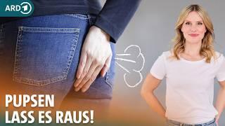 Blähungen und Blähbauch: Was hilft gegen ständige Blähungen? | Dr. Julia Fischer | ARD Gesund