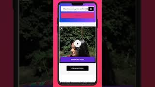 Instagram Video, Reel, Photo, Story Downloader Script | Reel Downloader Script Demo. #instagramreel