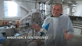 Производство живого кваса появилось в Хабаровском районе