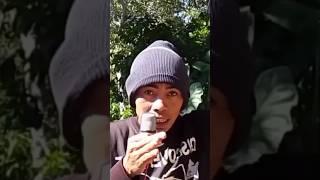 petik kelapa #shortvideo #viral #shorts