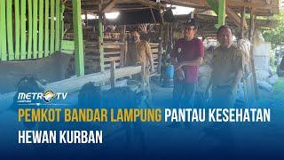 Pemkot Bandar Lampung Pantau Kesehatan Hewan Kurban