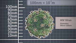 The Metre - Metric unit of length - Scale comparison