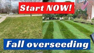 Lawn Overseeding In Fall: How YOU Can Transform Your Lawn!!