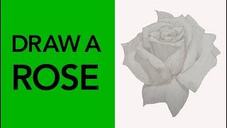 Draw a realistic rose!  | Drawing Tutorial